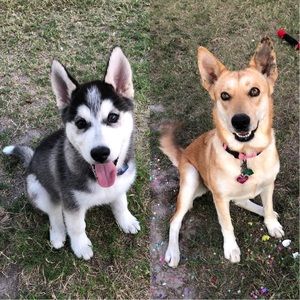 Meet your Posher, Jay